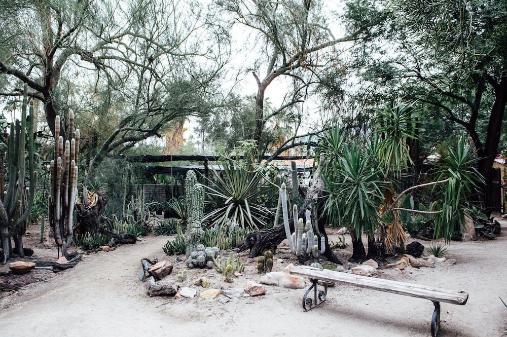 Desert Lodge Palm Springs Eksteriør billede