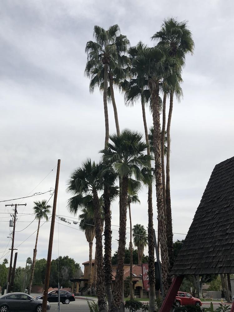 Desert Lodge Palm Springs Eksteriør billede
