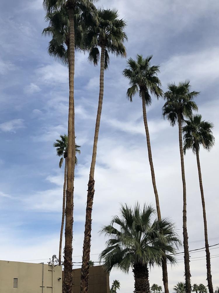 Desert Lodge Palm Springs Eksteriør billede