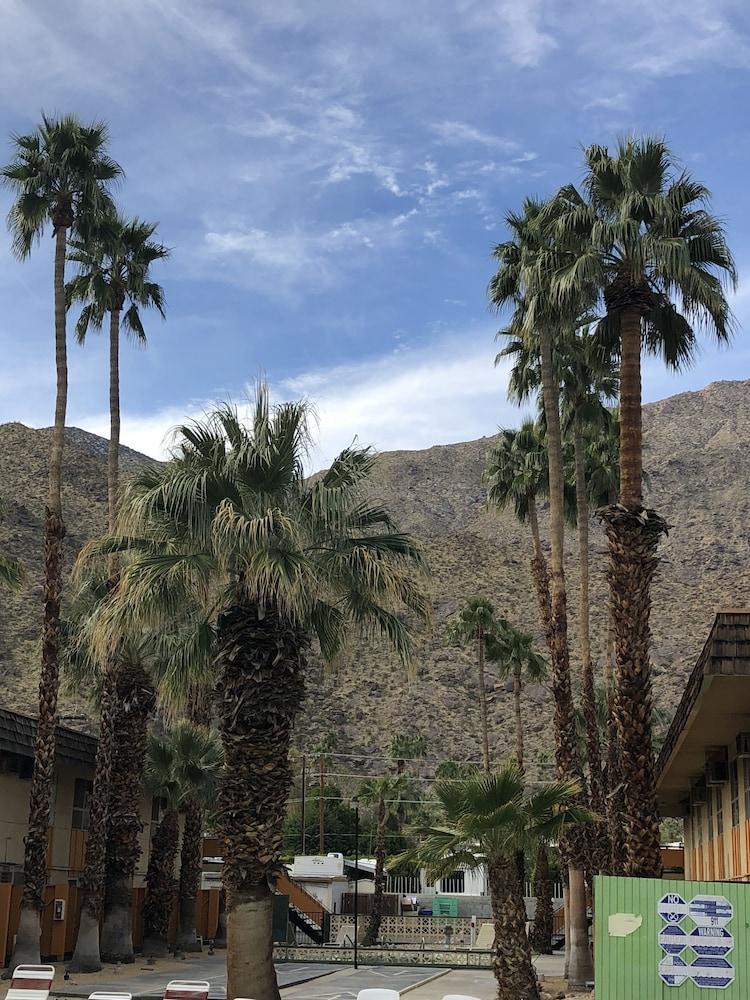 Desert Lodge Palm Springs Eksteriør billede